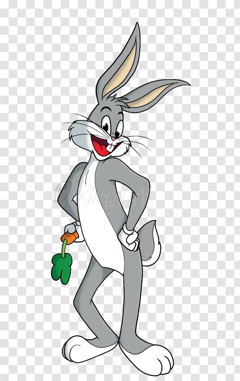Domestic Rabbit Bugs Bunny Hare Drawing Cartoon - Mammal - Whatsup Doc Transparent PNG
