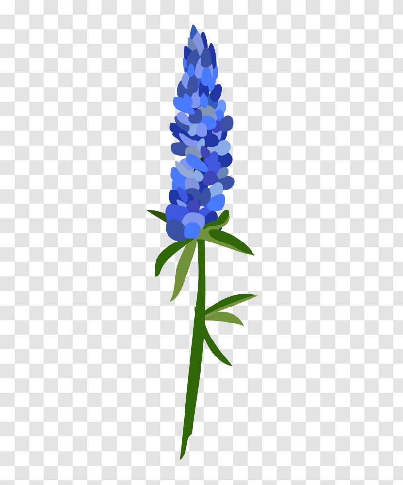 Cut Flowers Plant Stem Leaf Petal Hyacinth - Conifer - Mason Jar Transparent PNG