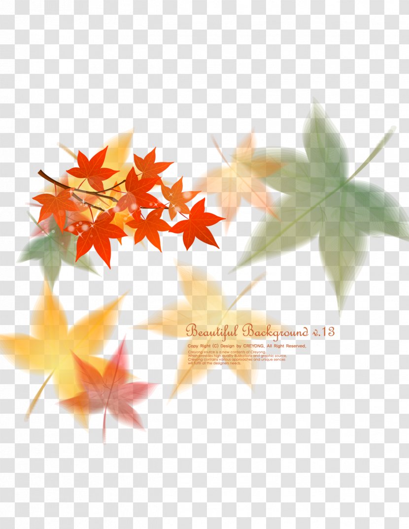 Maple Leaf Euclidean Vector - Flowering Plant - Hand-painted Transparent PNG