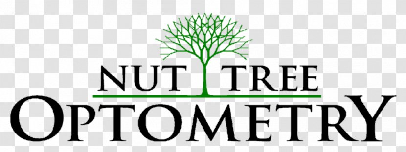 Midmarket CIO Forum Scotland Business Nut Tree Optometry - Plant Transparent PNG