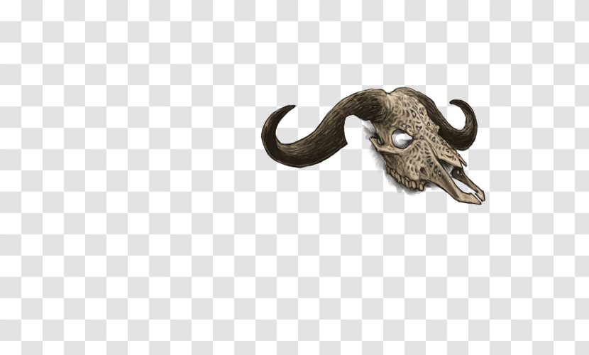 Indian Elephant - Personality Skull Transparent PNG