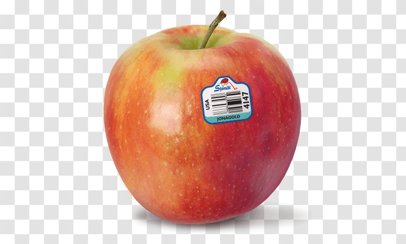 Apple McIntosh Jonagold Food Red Delicious - Jonathan Transparent PNG