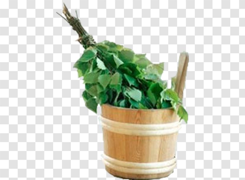 Banya Banny Venik Besom Sauna Birch - Herb Transparent PNG