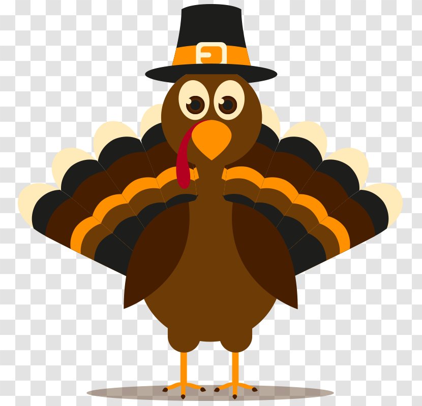 Vector Graphics Thanksgiving Royalty-free Turkey Meat Stock Photography - Beak Transparent PNG