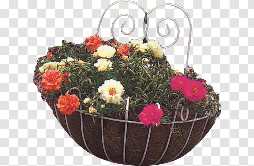 Floral Design Art Cut Flowers Food Gift Baskets - Floristry Transparent PNG