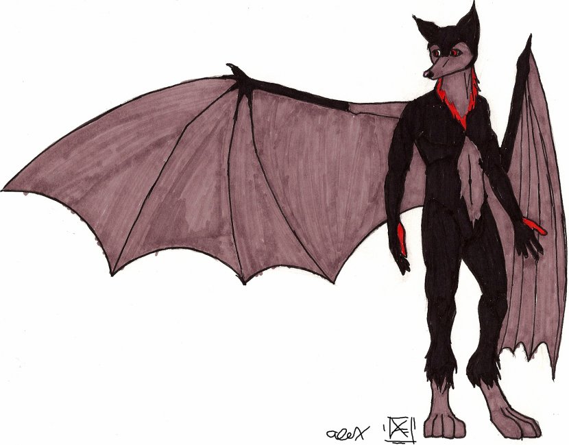 Megabat Vampire Bat Fruit Drawing Transparent PNG