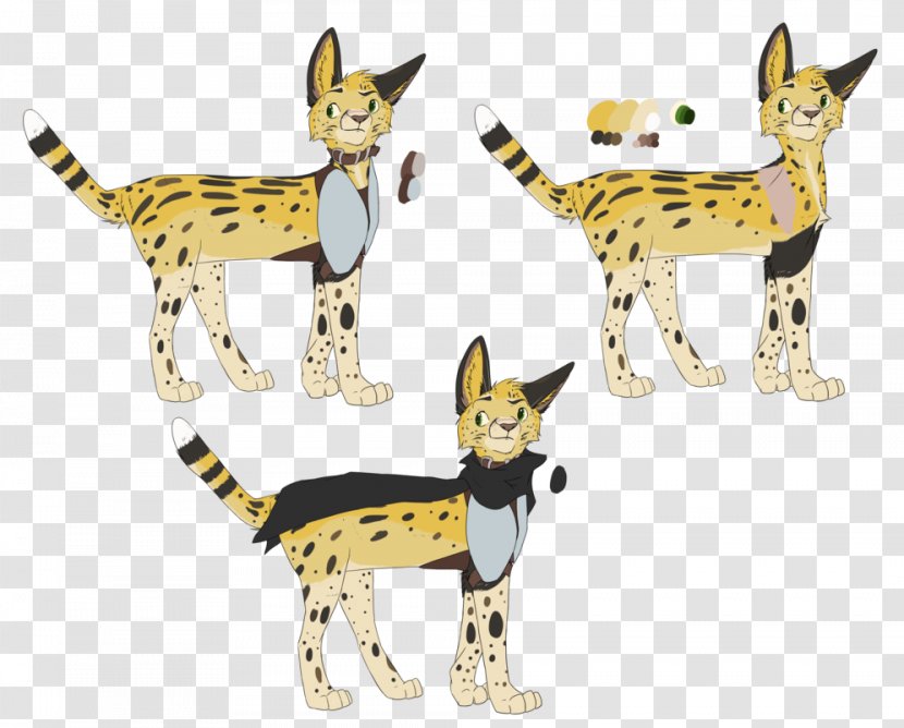 Cat Dog Canidae Tail Cartoon - Small To Medium Sized Cats Transparent PNG