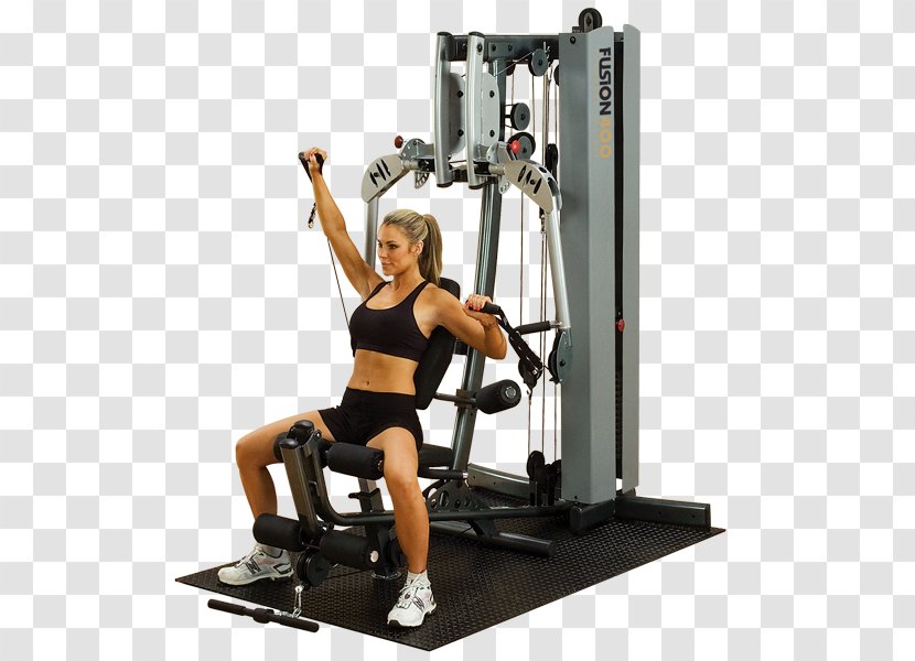 Fitness Centre Exercise Equipment Physical Strength Training Personal Trainer - Tree - Bodybuilding Transparent PNG