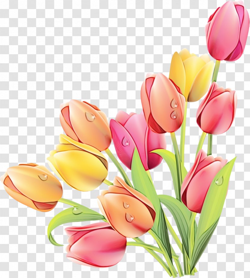 Tulip Clip Art Image Graphics Flower Bouquet - Cut Flowers - Door Transparent PNG