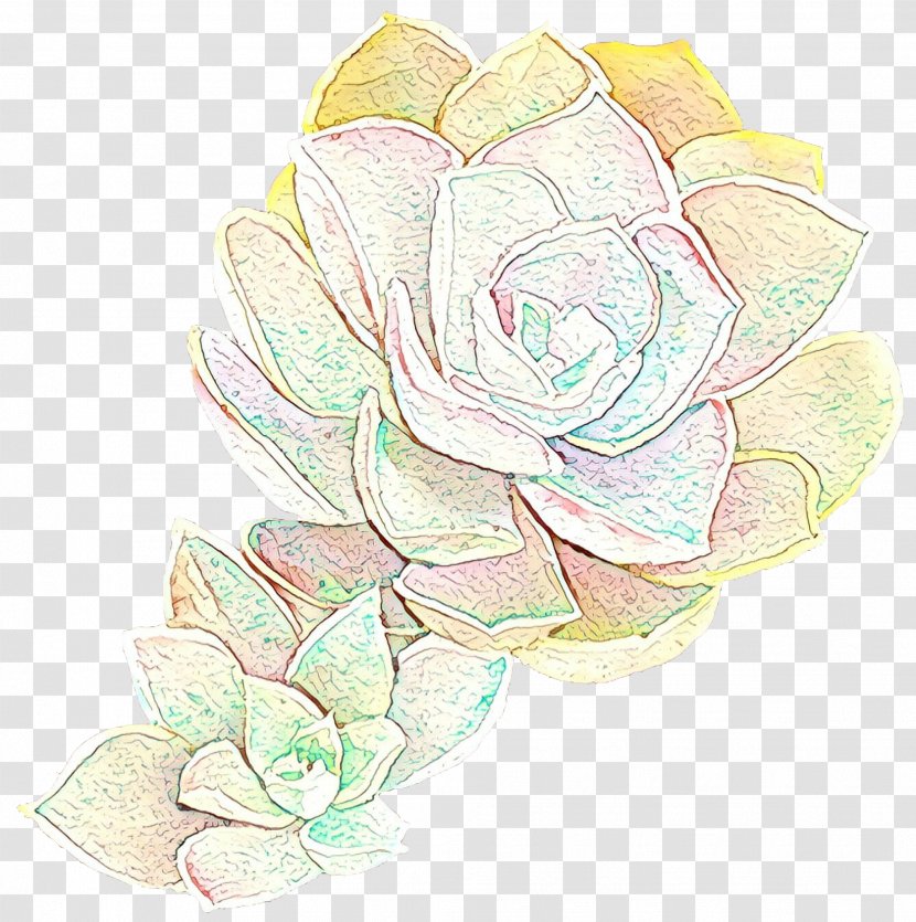 Garden Roses Cabbage Rose Floral Design Drawing Illustration - Magnolia - Petal Transparent PNG