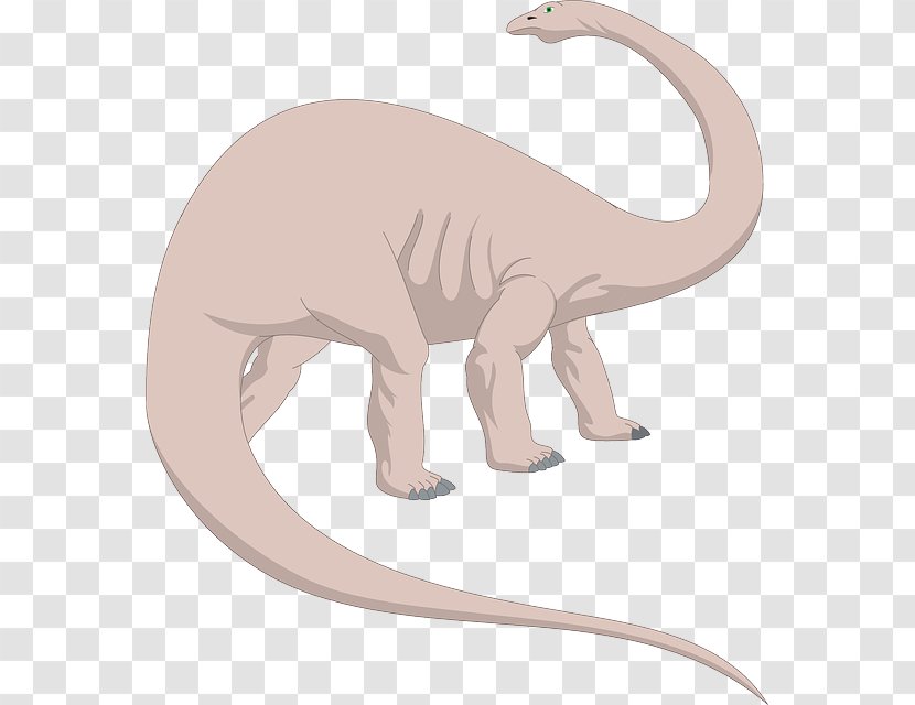 Brachiosaurus Brontosaurus Apatosaurus Clip Art - Alamosaurus - Long Neck Animals Transparent PNG