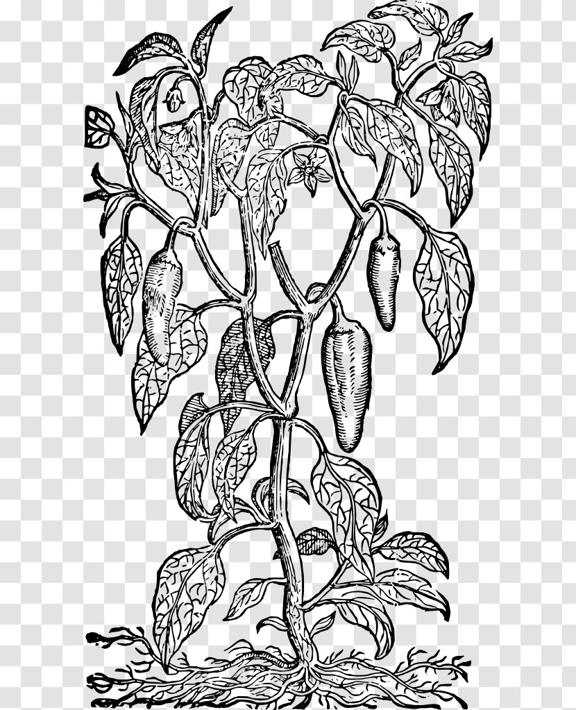 Middle Temple Library Floral Design Monochrome Visual Arts - Coloring Book - Spices Transparent PNG