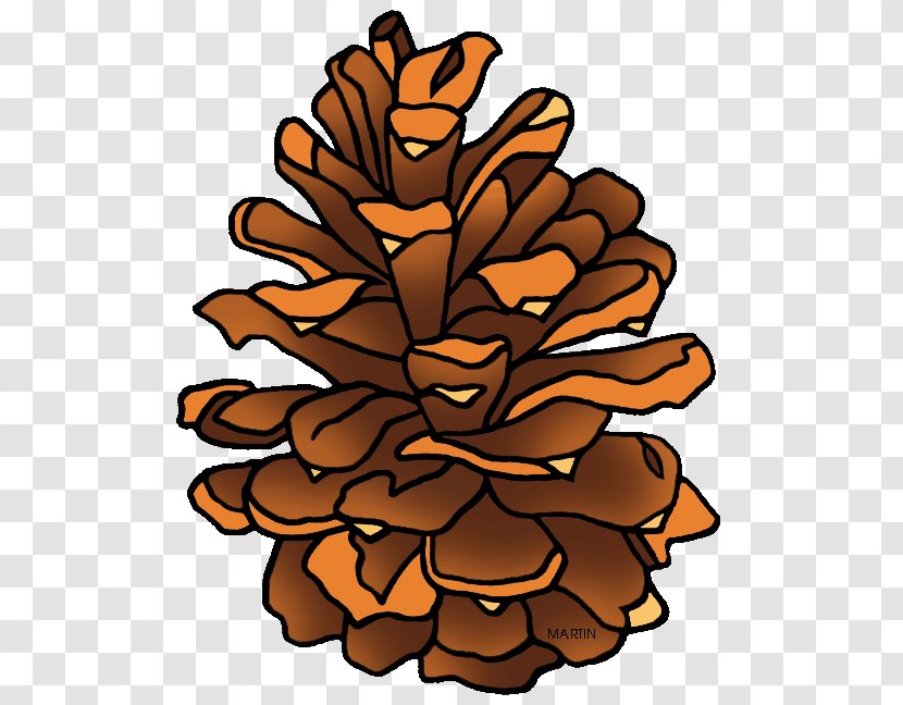 Stone Pine Conifer Cone Clip Art - Log Tree Cliparts Transparent PNG