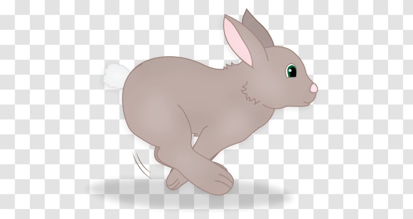 Domestic Rabbit Hare Easter Bunny Whiskers - Too Fast Transparent PNG