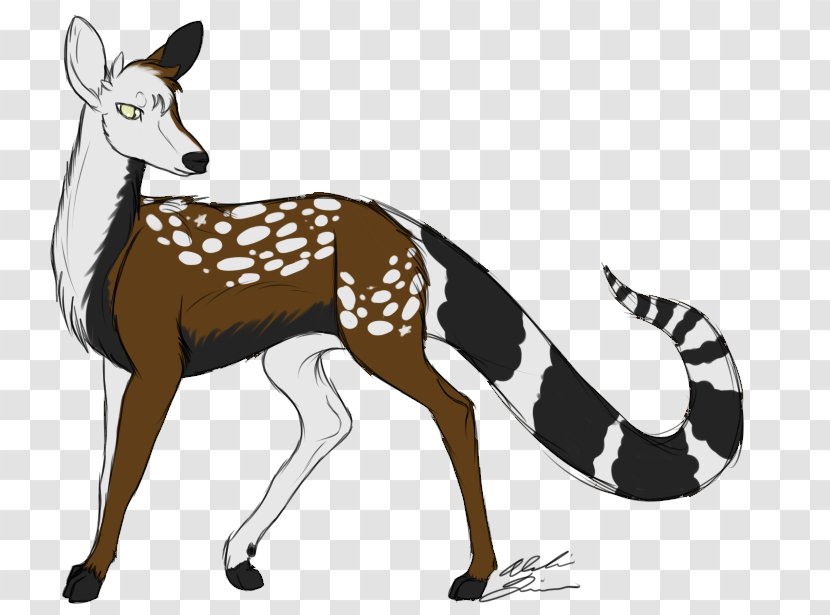 Musk Deers Springbok Horse Gazelle - Deer Transparent PNG