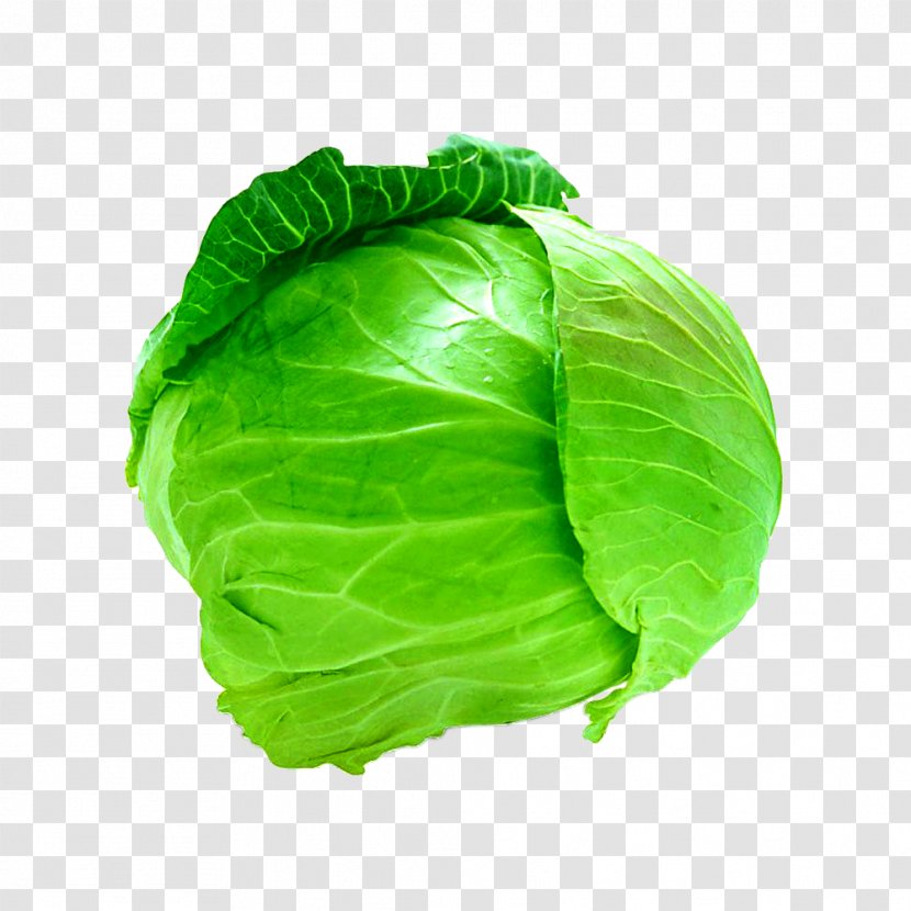 Savoy Cabbage Cauliflower Leaf Vegetable - Collard Greens Transparent PNG