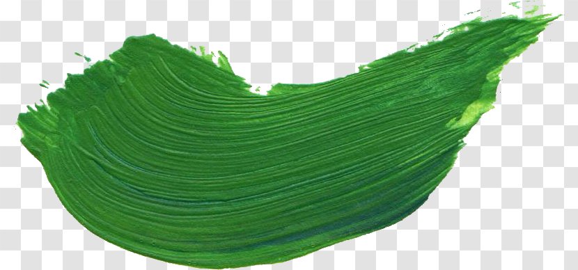 Green Paintbrush - Banana Leaf - Paint Transparent PNG