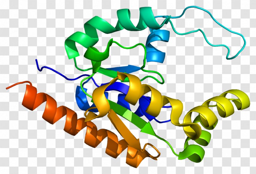 TATA-binding Protein TAF9 Transcription Factor II D - Flower - Cartoon Transparent PNG