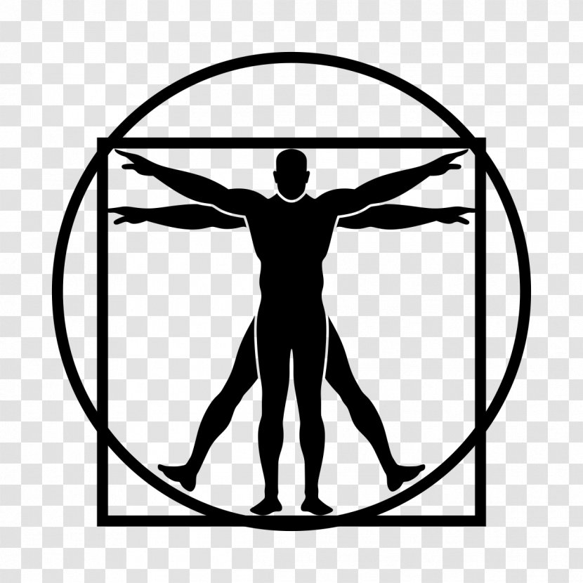 Bow And Arrow - Vitruvius Transparent PNG