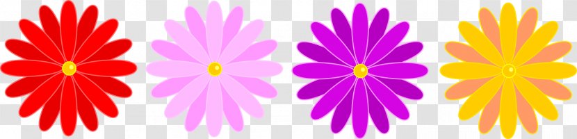 Flower Common Daisy Clip Art - Flowering Plant - Multicolor Transparent PNG