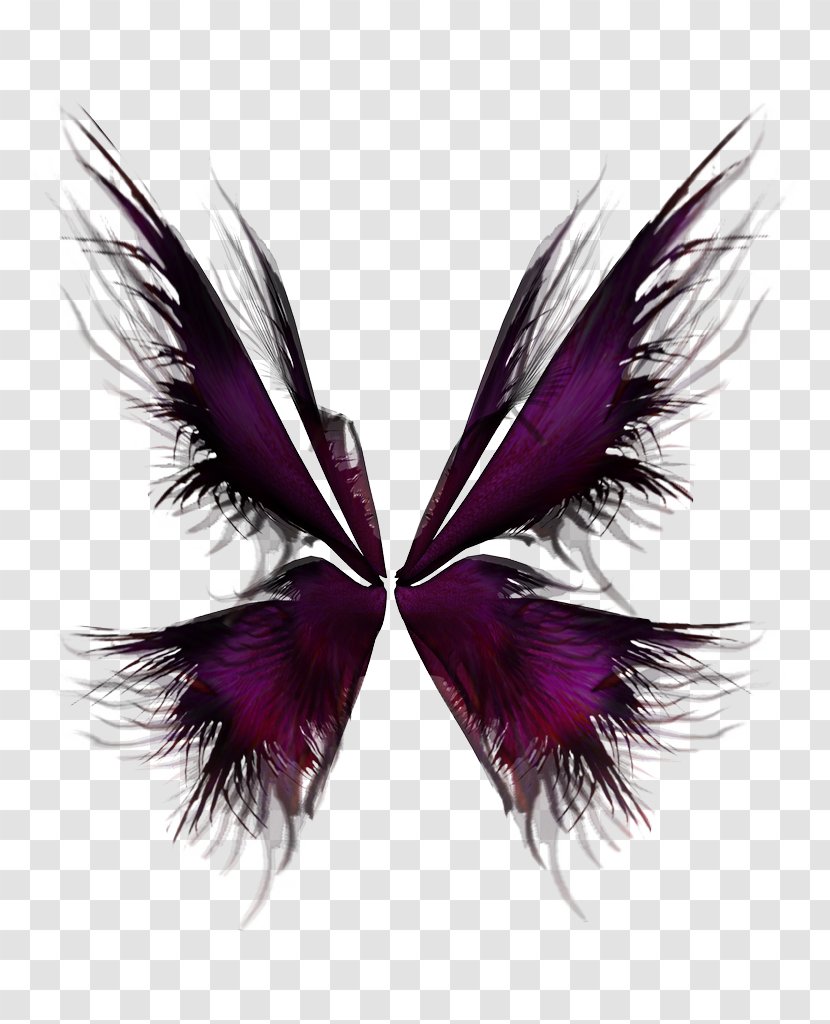 Wing Purple - Google Images - Broken Wings Transparent PNG