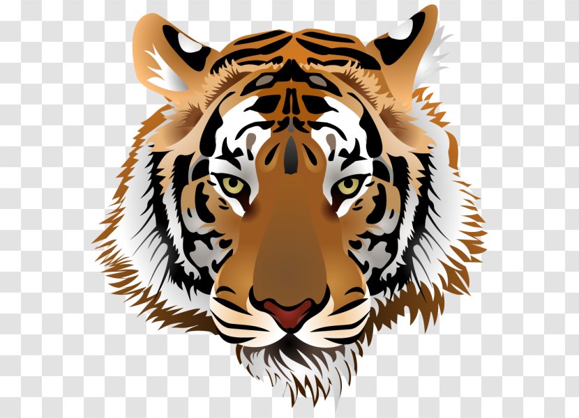 Tiger Clip Art - Roar Transparent PNG
