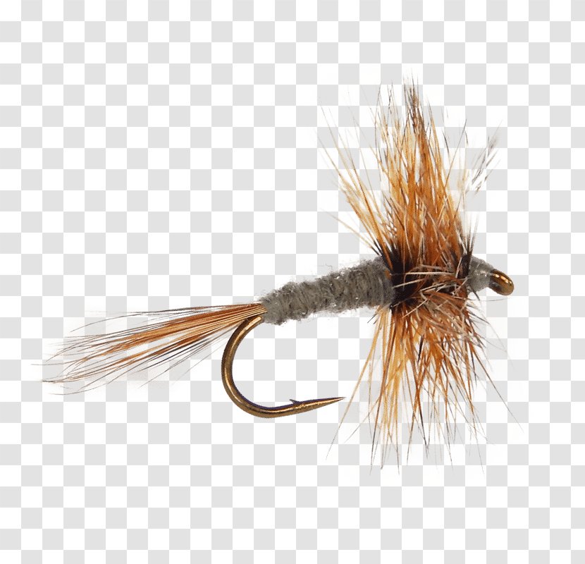 Fly Fishing Mayfly Adams Tying Artificial - Tackle Transparent PNG
