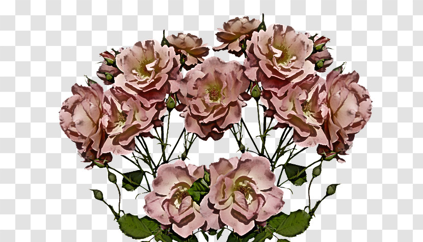 Floral Design Transparent PNG