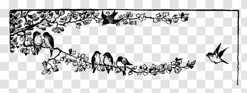 Drawing Clip Art - Bird - Border Branches Transparent PNG