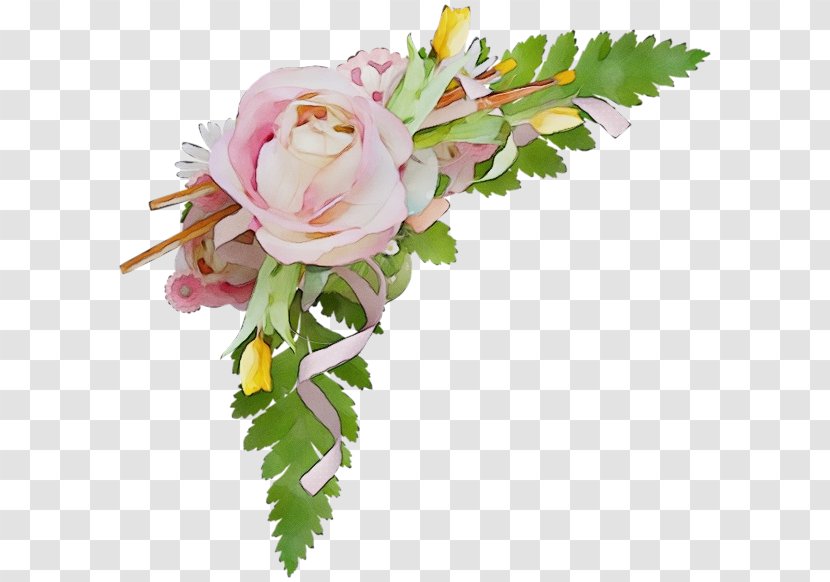 Rose - Leaf Floristry Transparent PNG