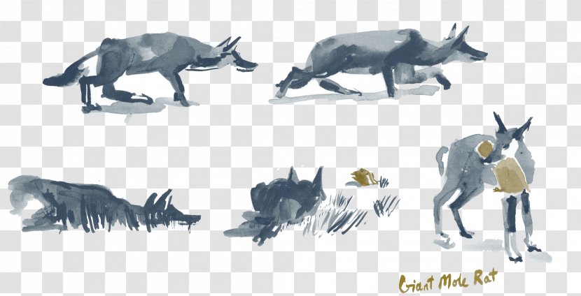 Cattle Pack Animal Dog Sketch - Gelada Baboon Transparent PNG