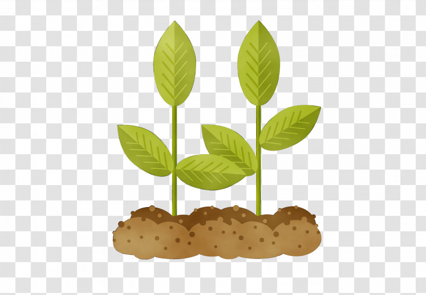 Leaf Plant Flower Soil Transparent PNG