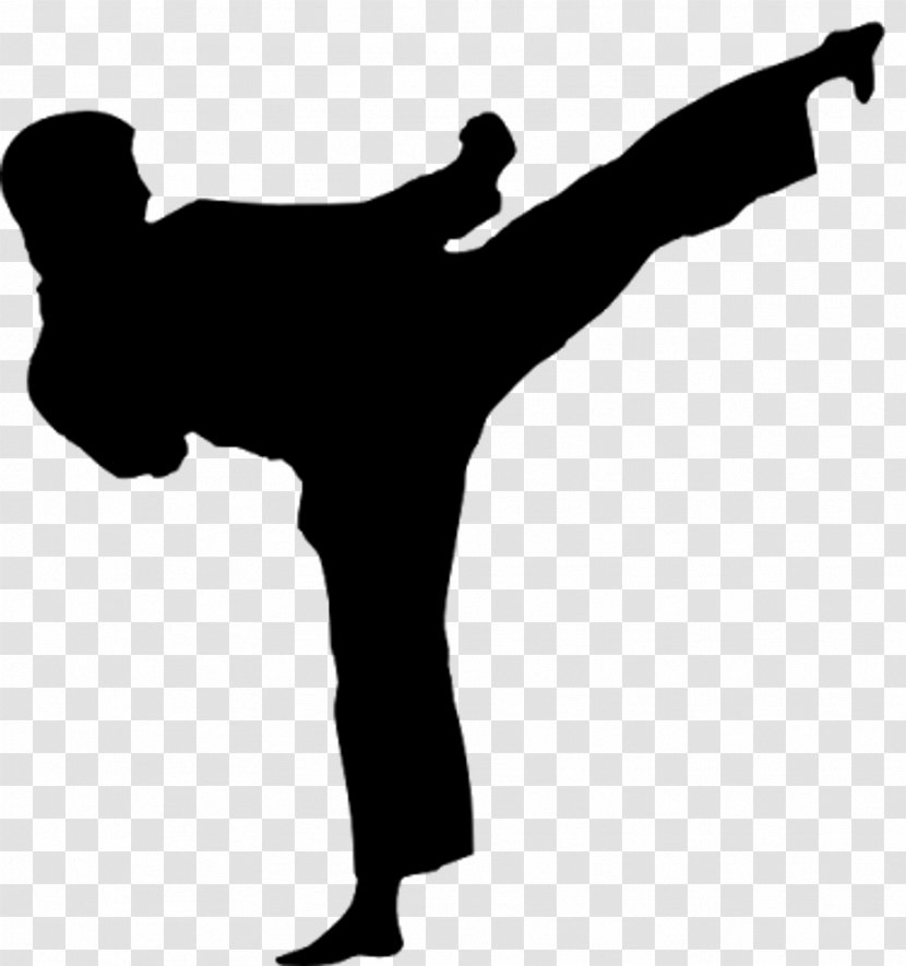 Karate Martial Arts Kick Taekwondo Obi - Joint Transparent PNG