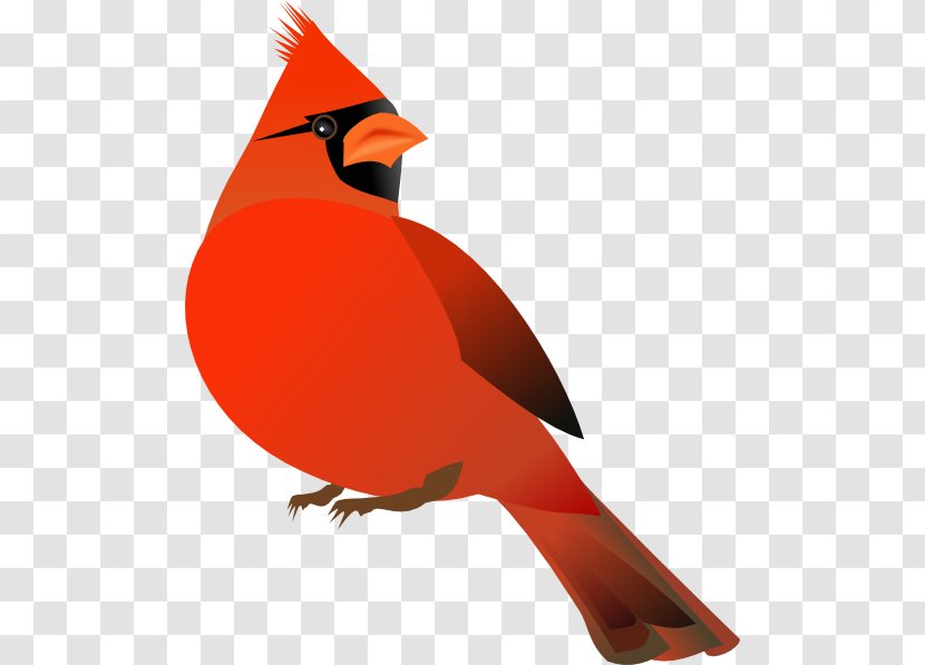 Northern Cardinal Free Content Clip Art - Cardinals Cliparts Transparent PNG