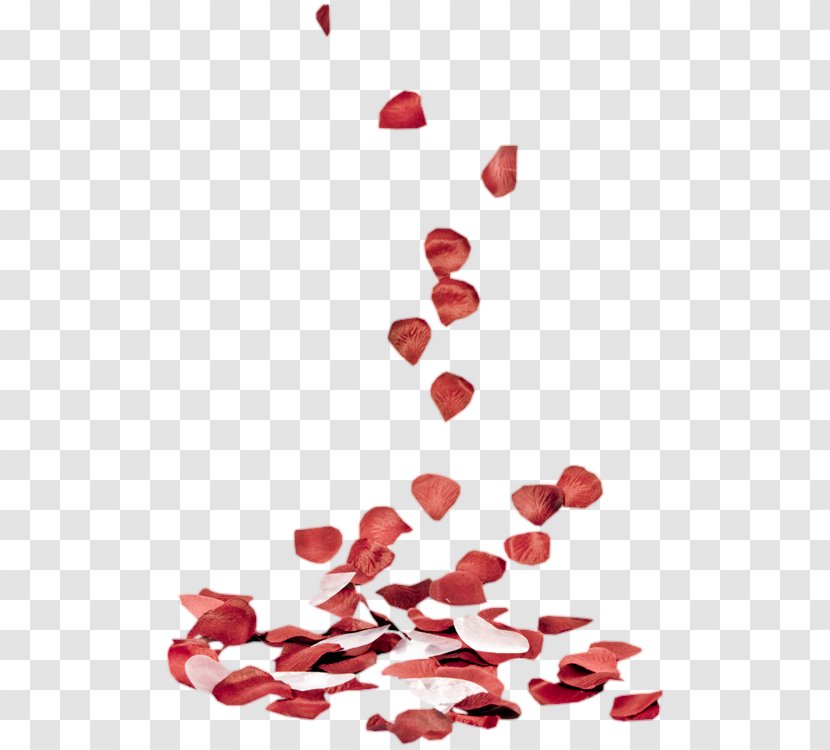 Heart Valentine's Day PhotoFiltre Love - Rose Petal Transparent PNG