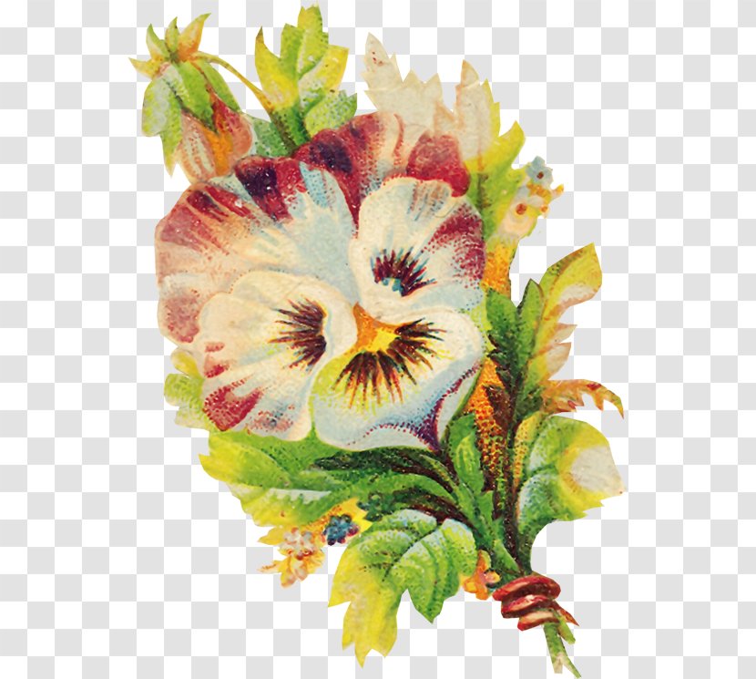 Pansy Clip Art - Flowering Plant Transparent PNG