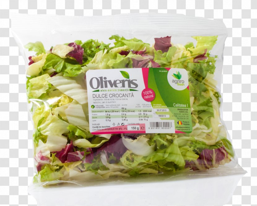 Romaine Lettuce Vegetarian Cuisine Salad Food Transparent PNG