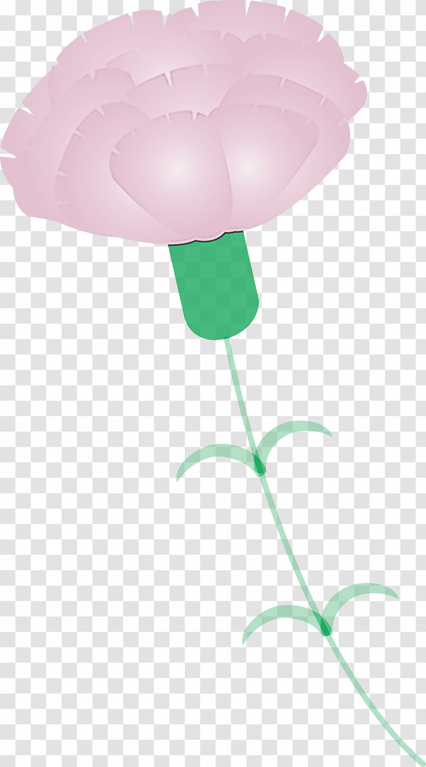 Mothers Day Carnation Mothers Day Flower Transparent PNG