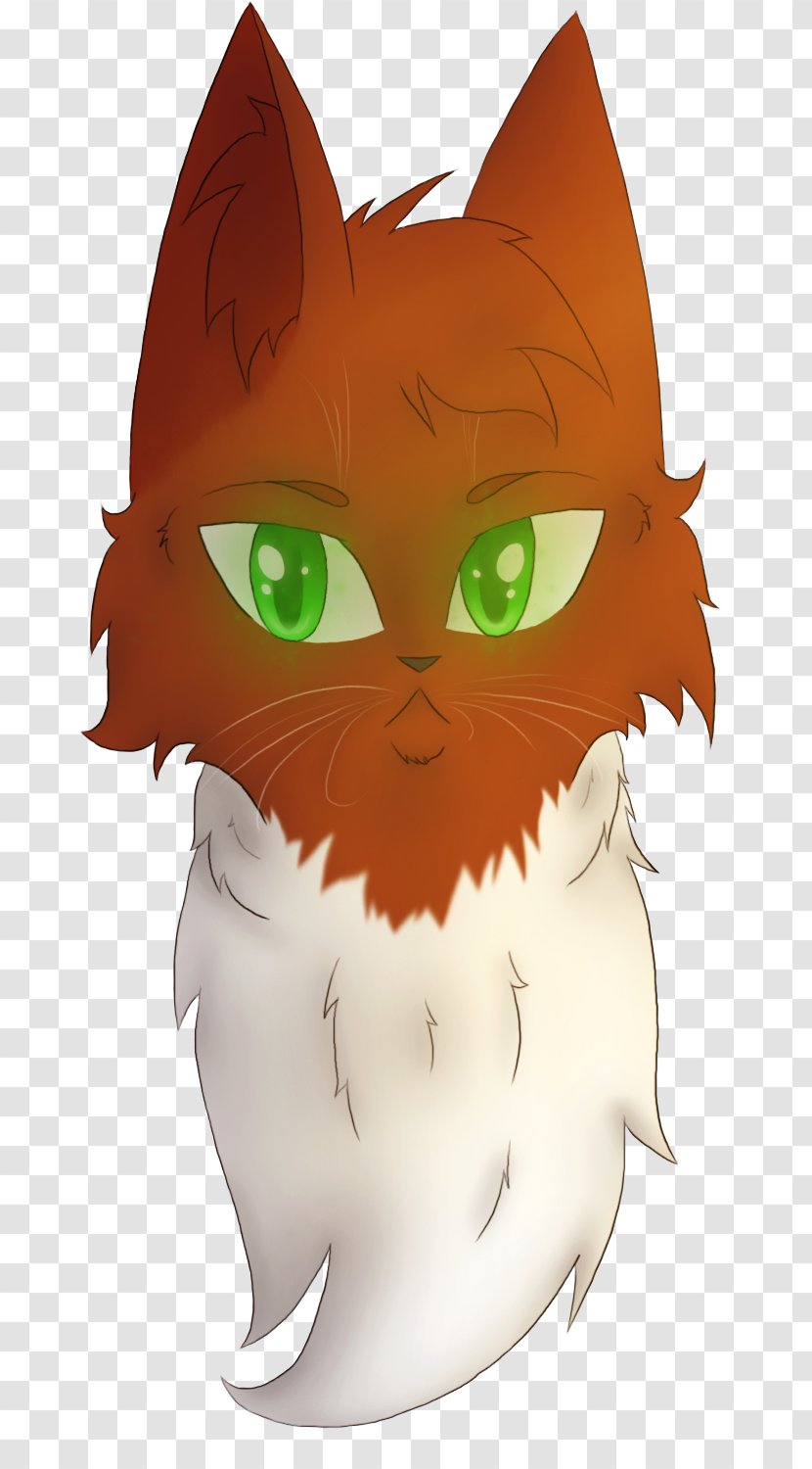 Whiskers Kitten Cat Snout - Face Transparent PNG