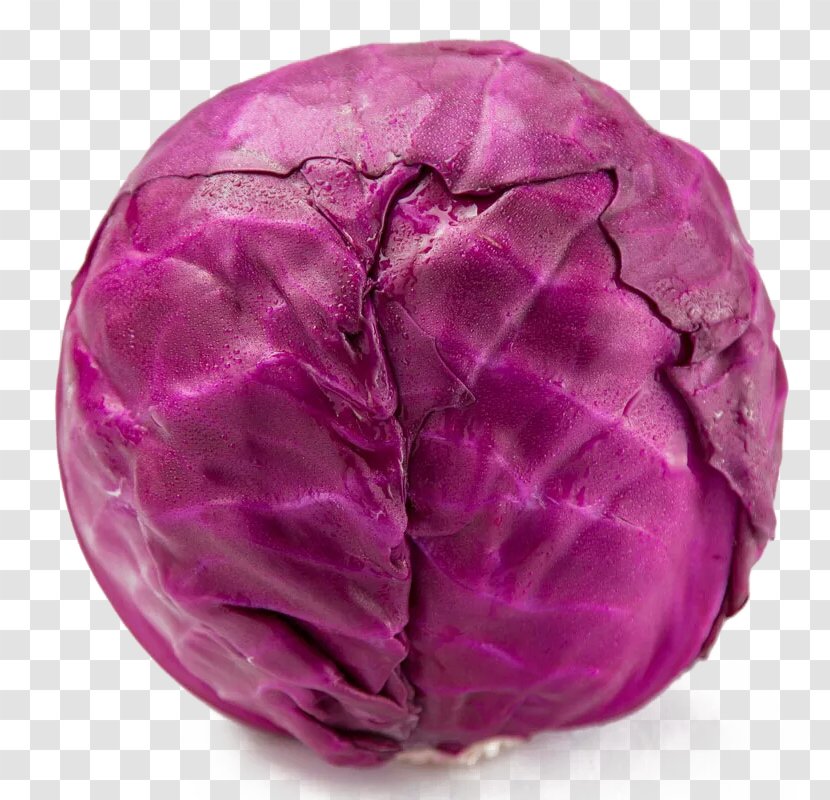 Red Cabbage Glebionis Coronaria Broccoli Vegetable - Food - A Purple Transparent PNG