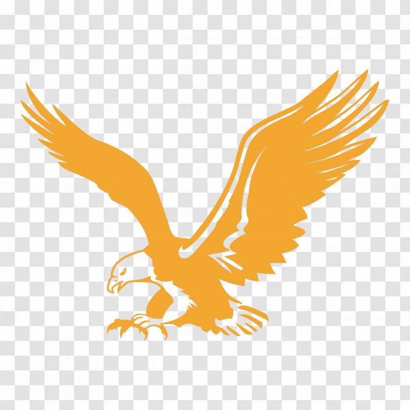 American Flyers Bald Eagle Spartan College Of Aeronautics And Technology Organization Aviation - Bird Prey - Flyer Transparent PNG