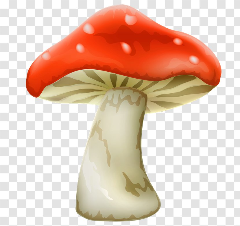 Mushroom Clip Art - Lamborghini Transparent PNG