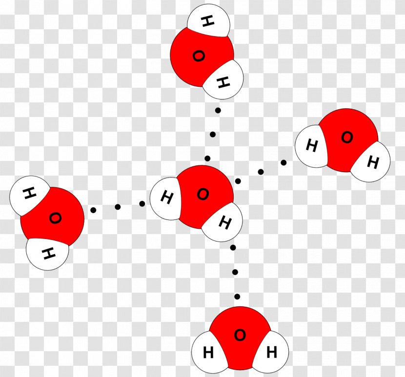 Molecule Water Molecular Model Hydrogen Bond Chemical - Ladybird Transparent PNG