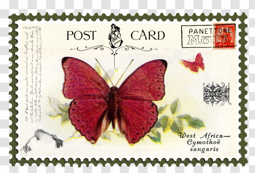 Brush-footed Butterflies Butterfly Postage Stamps Mail - Sailboat Transparent PNG