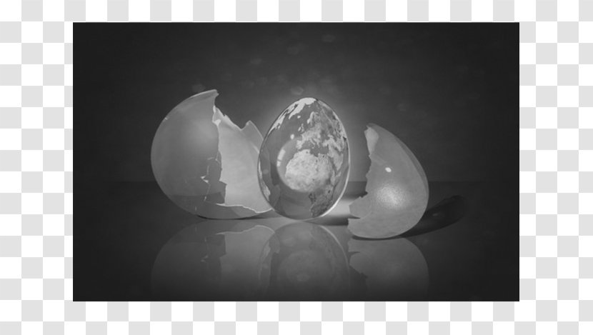 Fried Egg Eggs Benedict Desktop Wallpaper Eggshell - Still Life Transparent PNG