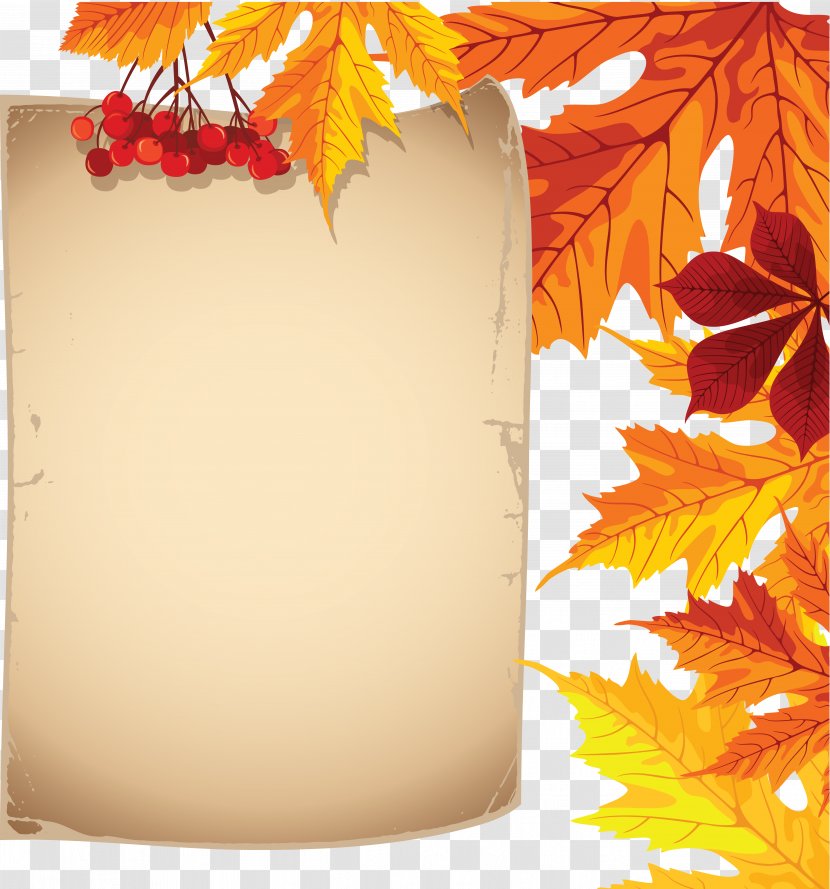 Maple Leaf Paper - Material - Akiba Vector Transparent PNG