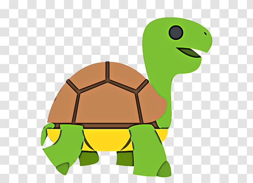 Tortoise Turtle Green Reptile Pond Turtle Transparent PNG