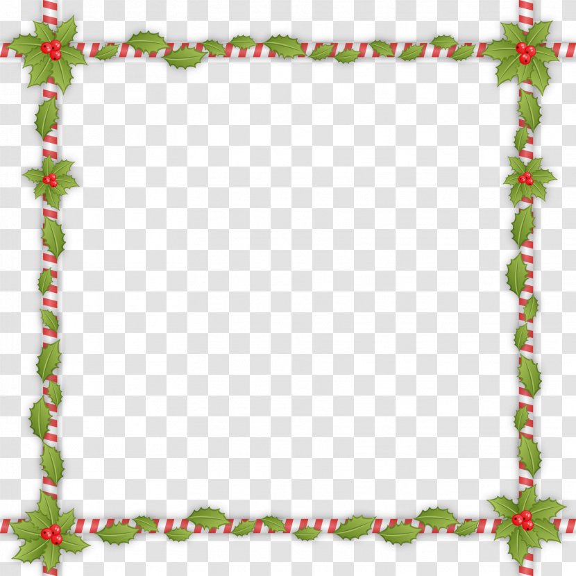 Mistletoe Euclidean Vector - Colegio De Quimicos Puerto Rico - Decorative Square Frame Material Transparent PNG