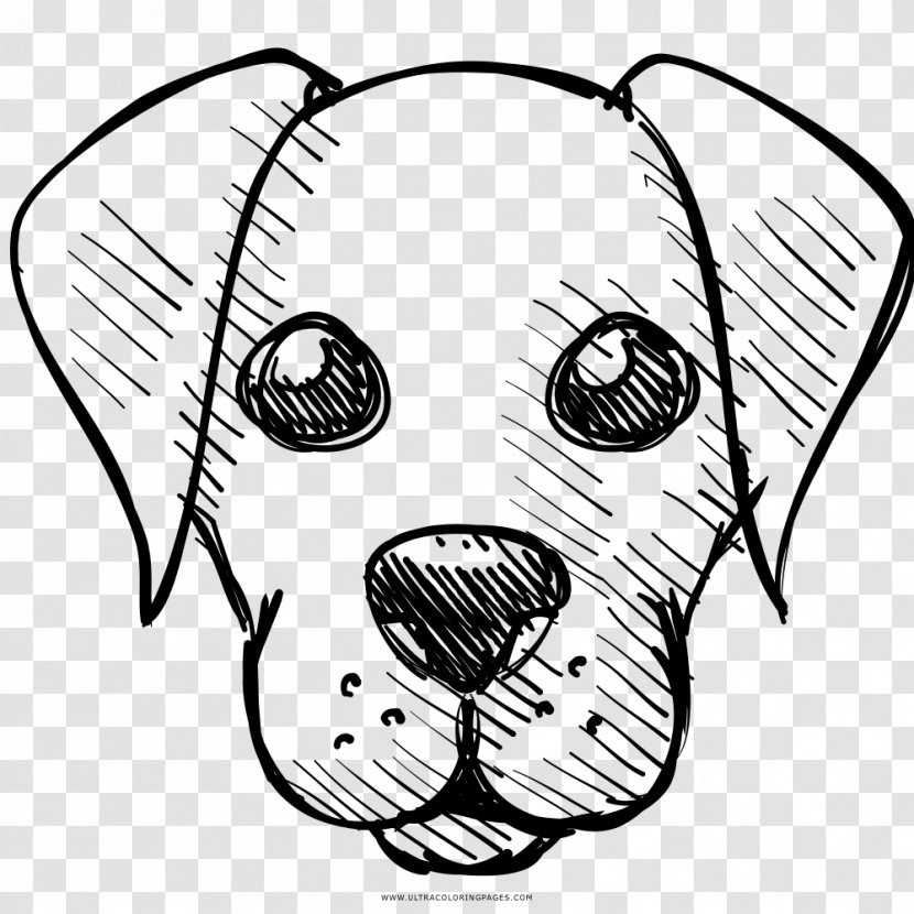 Cave Of Dogs Drawing Coloring Book Line Art - Watercolor - Cane Transparent PNG
