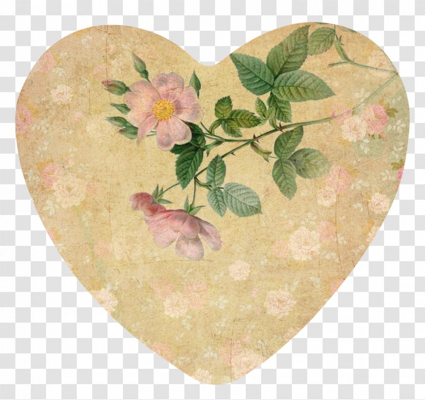 Art Valentine's Day Botanical Illustration Still Life Paper - Valentine Card Transparent PNG